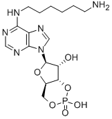 66311-09-9 structure